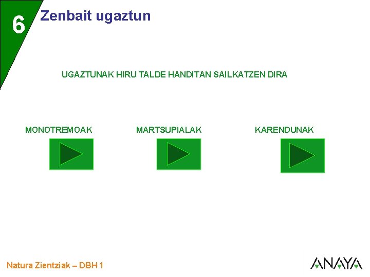 UNIDAD 6 3 Zenbait ugaztun UGAZTUNAK HIRU TALDE HANDITAN SAILKATZEN DIRA MONOTREMOAK Natura Zientziak