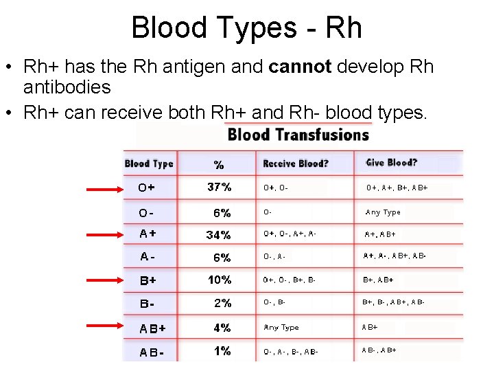 Blood Types - Rh • Rh+ has the Rh antigen and cannot develop Rh