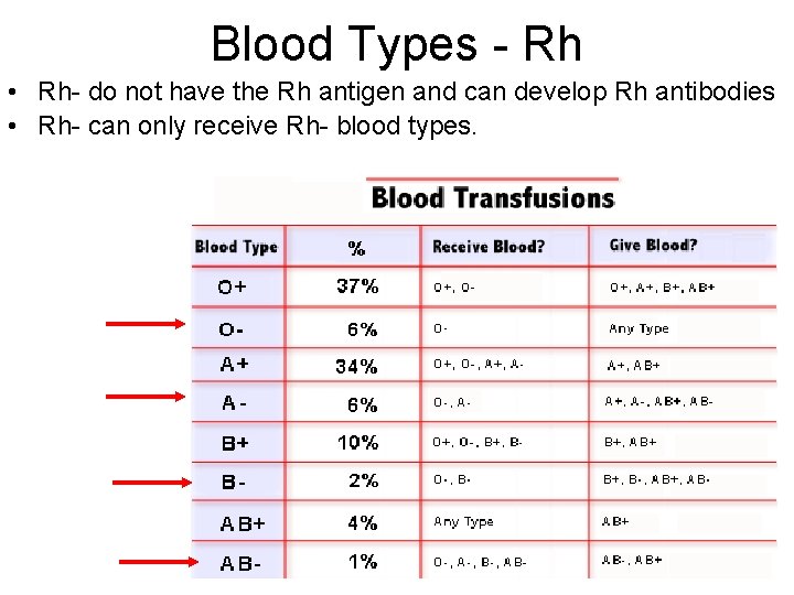 Blood Types - Rh • Rh- do not have the Rh antigen and can