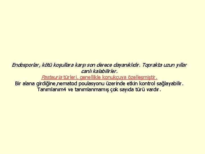 Endosporlar, kötü koşullara karşı son derece dayanıklıdır. Toprakta uzun yıllar canlı kalabilirler. Pasteuria türleri,