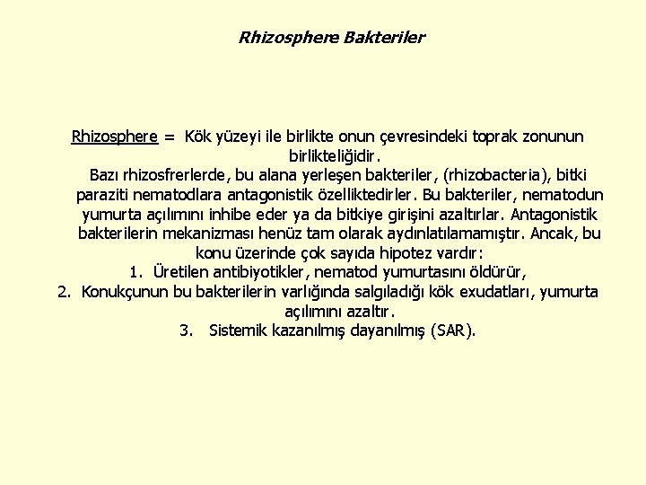 Rhizosphere Bakteriler Rhizosphere = Kök yüzeyi ile birlikte onun çevresindeki toprak zonunun birlikteliğidir. Bazı