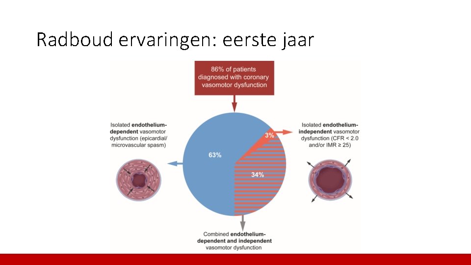 Radboud ervaringen: eerste jaar 