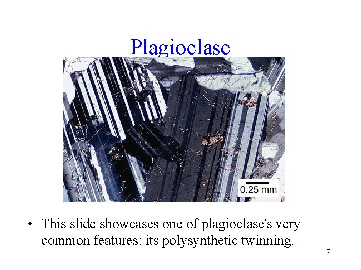Plagioclase • This slide showcases one of plagioclase's very common features: its polysynthetic twinning.