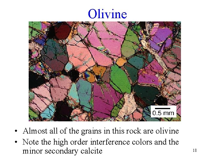 Olivine • Almost all of the grains in this rock are olivine • Note