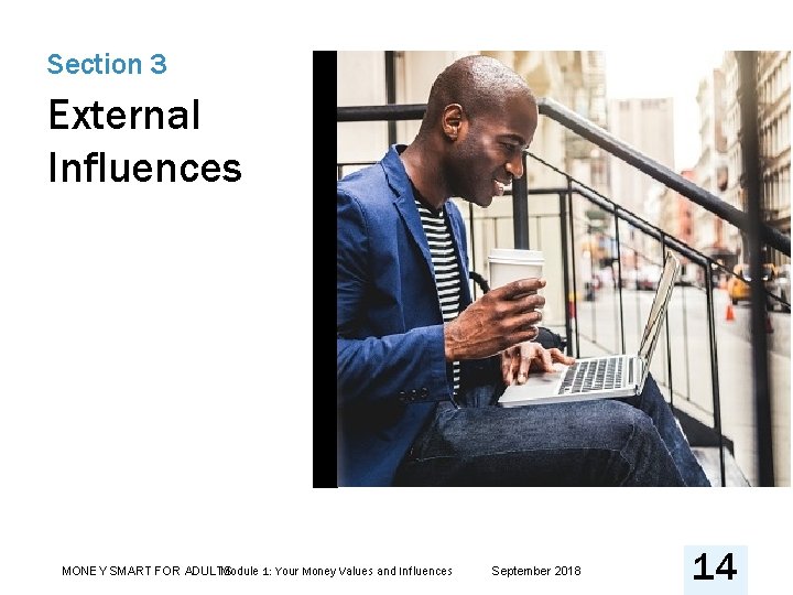 Section 3 External Influences Module 1: Your Money Values and Influences MONEY SMART FOR