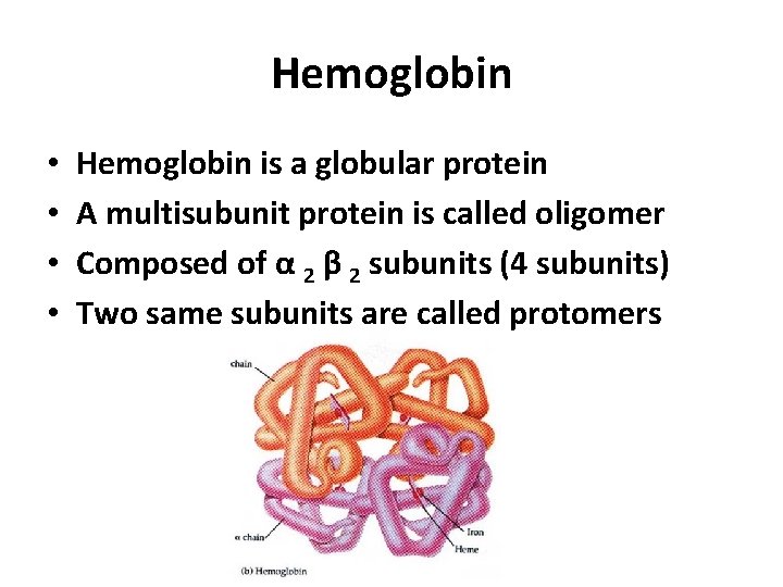 Hemoglobin • • Hemoglobin is a globular protein A multisubunit protein is called oligomer