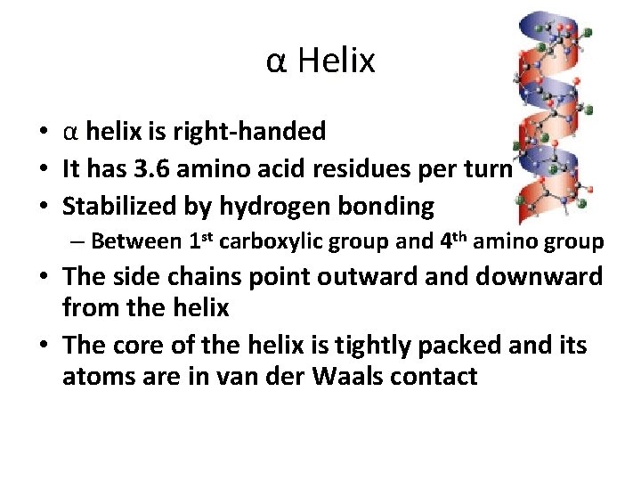 α Helix • α helix is right-handed • It has 3. 6 amino acid