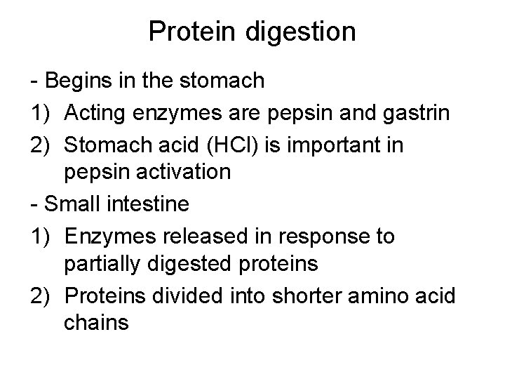 Proteins Chapter 6 BIOL 1400 Dr Mohamad H