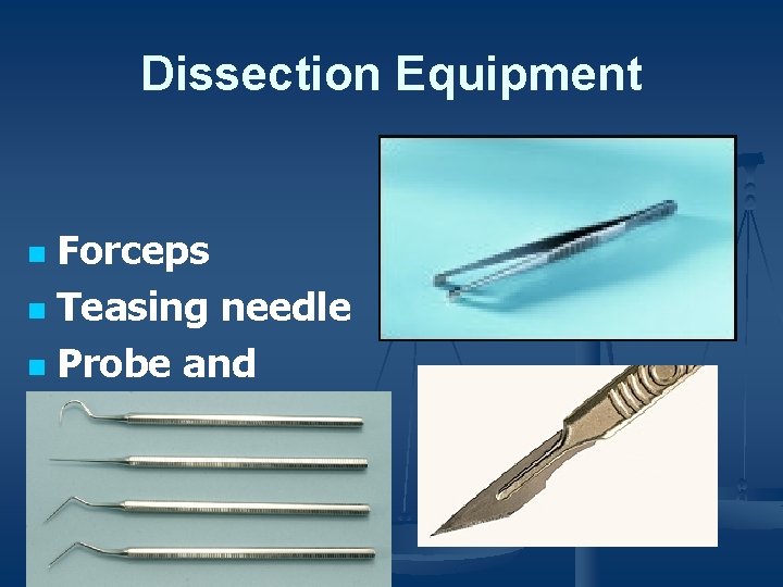 Dissection Equipment Forceps n Teasing needle n Probe and seeker n Scalpel n 