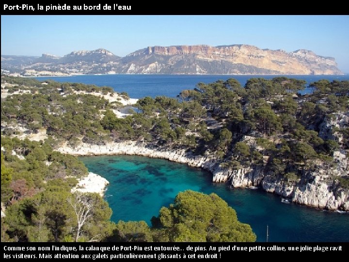 Port-Pin, la pinède au bord de l'eau Comme son nom l'indique, la calanque de