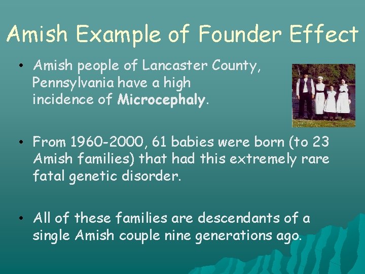 Amish Example of Founder Effect • Amish people of Lancaster County, Pennsylvania have a