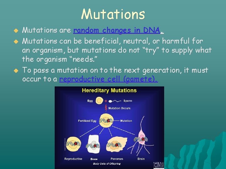 Mutations Mutations are random changes in DNA. Mutations can be beneficial, neutral, or harmful