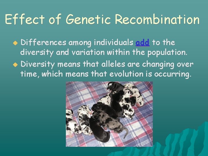 Effect of Genetic Recombination Differences among individuals add to the diversity and variation within