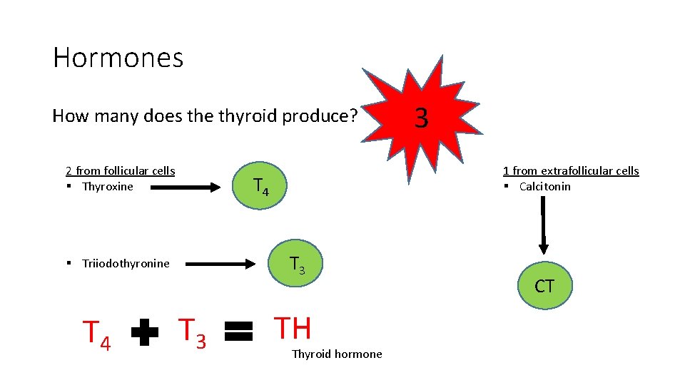 Hormones How many does the thyroid produce? 2 from follicular cells § Thyroxine T