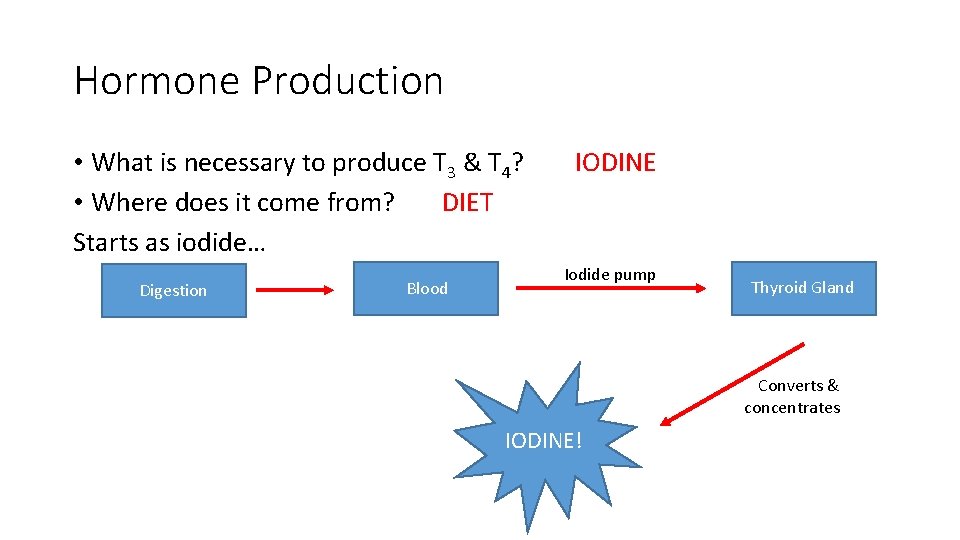 Hormone Production • What is necessary to produce T 3 & T 4? DIET