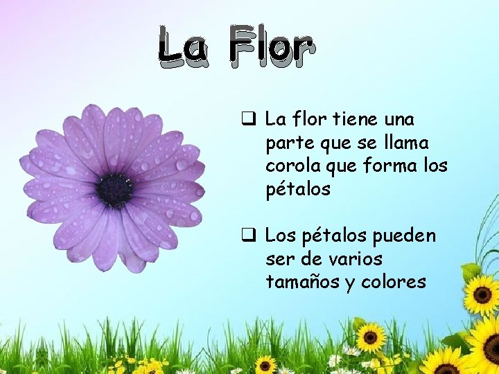 La Flor q La flor tiene una parte que se llama corola que forma