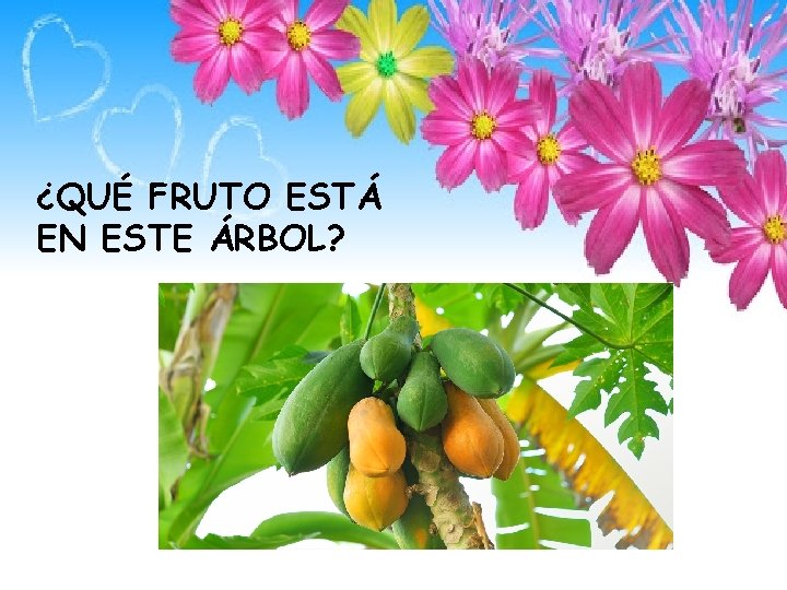 ¿QUÉ FRUTO ESTÁ EN ESTE ÁRBOL? 