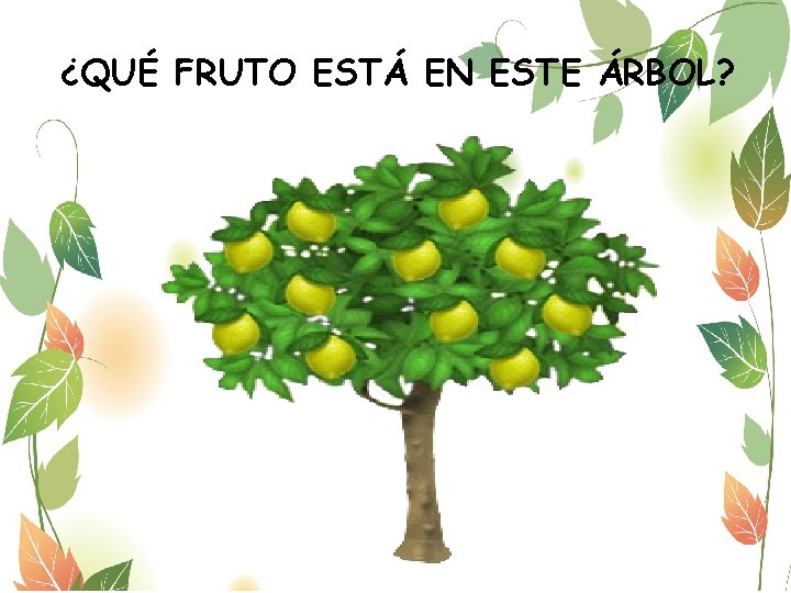 ¿QUÉ FRUTO ESTÁ EN ESTE ÁRBOL? 