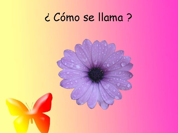 ¿ Cómo se llama ? 