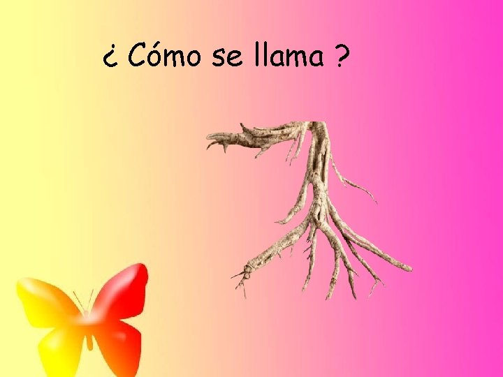 ¿ Cómo se llama ? 
