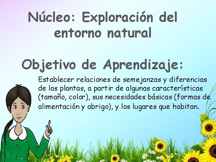 Núcleo: Exploración del entorno natural Objetivo de Aprendizaje: Establecer relaciones de semejanzas y diferencias