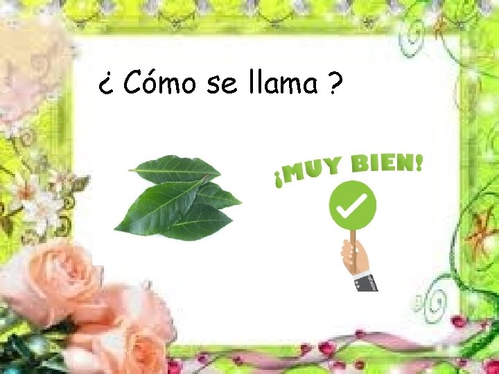 ¿ Cómo se llama ? 