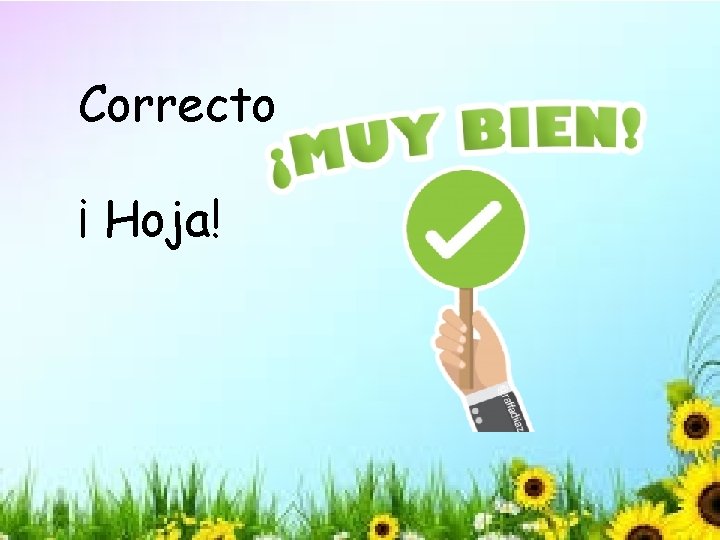 Correcto ¡ Hoja! 