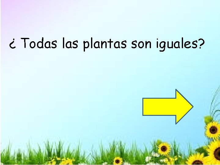 ¿ Todas las plantas son iguales? 