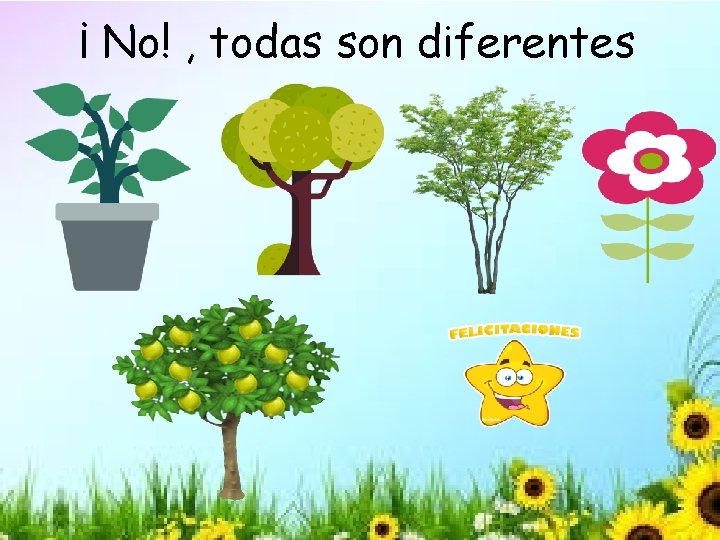 ¡ No! , todas son diferentes 