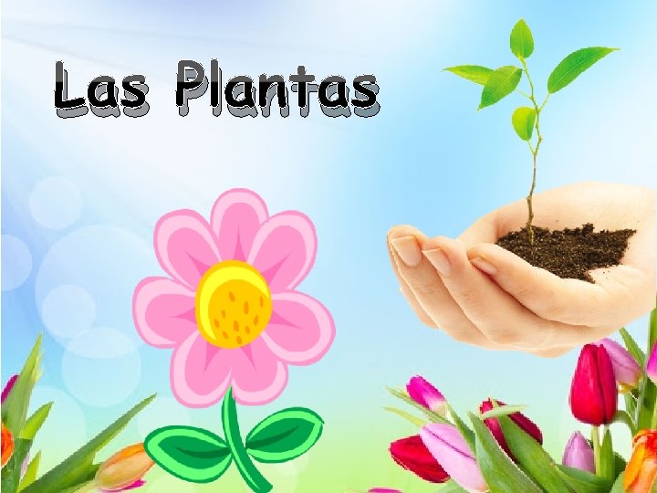 Las Plantas 