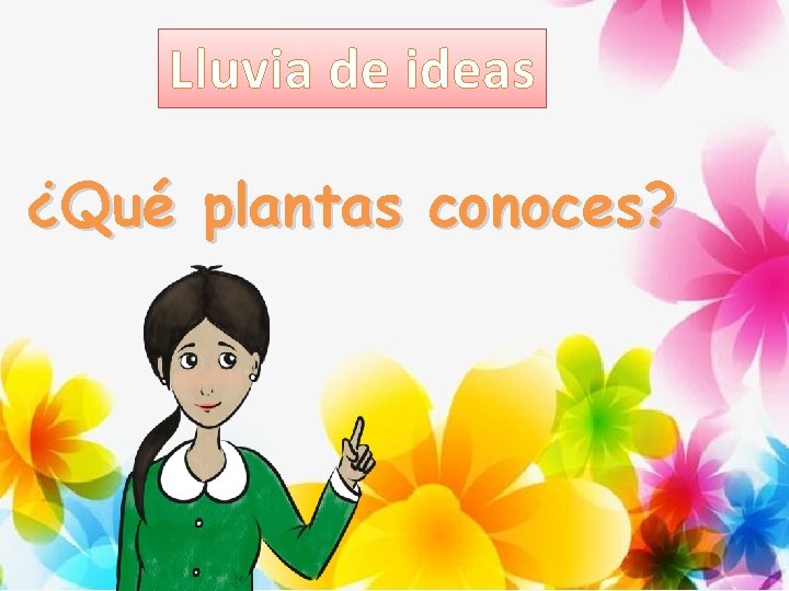 Lluvia de ideas ¿Qué plantas conoces? 