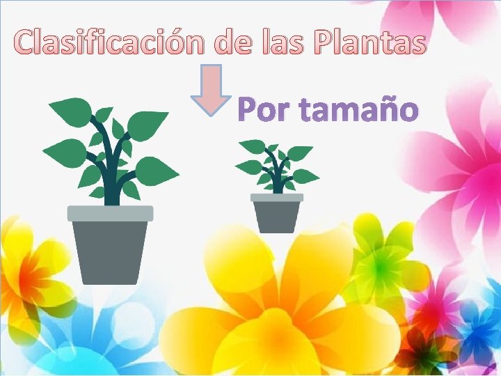 Clasificación de las Plantas Por tamaño 