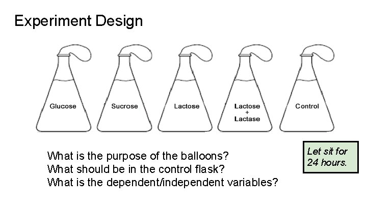 Experiment Design What is the purpose of the balloons? What should be in the