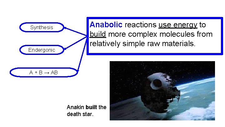 Synthesis Endergonic Anabolic reactions use energy to build more complex molecules from relatively simple