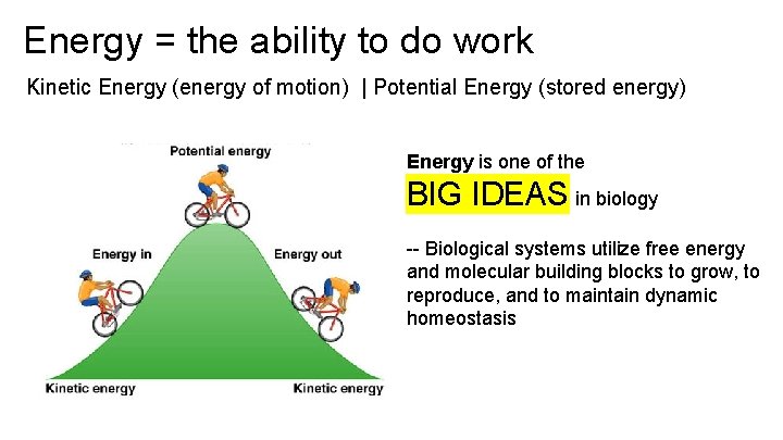 Energy = the ability to do work Kinetic Energy (energy of motion) | Potential
