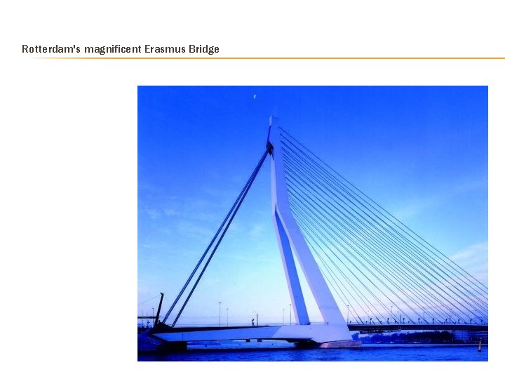 Rotterdam's magnificent Erasmus Bridge  Rotterdam's magnificent Erasmus Bridge