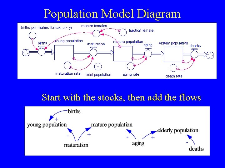 Population Model Diagram Start with the stocks, then add the flows Population Model Diagram Start with the stocks, then add the flows