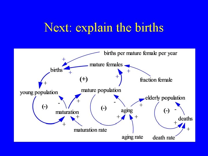 Next: explain the births Next: explain the births