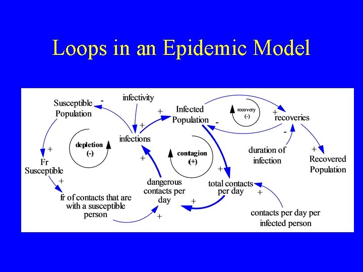 Loops in an Epidemic Model Loops in an Epidemic Model