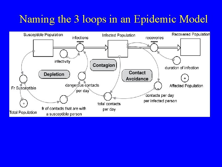Naming the 3 loops in an Epidemic Model Naming the 3 loops in an Epidemic Model