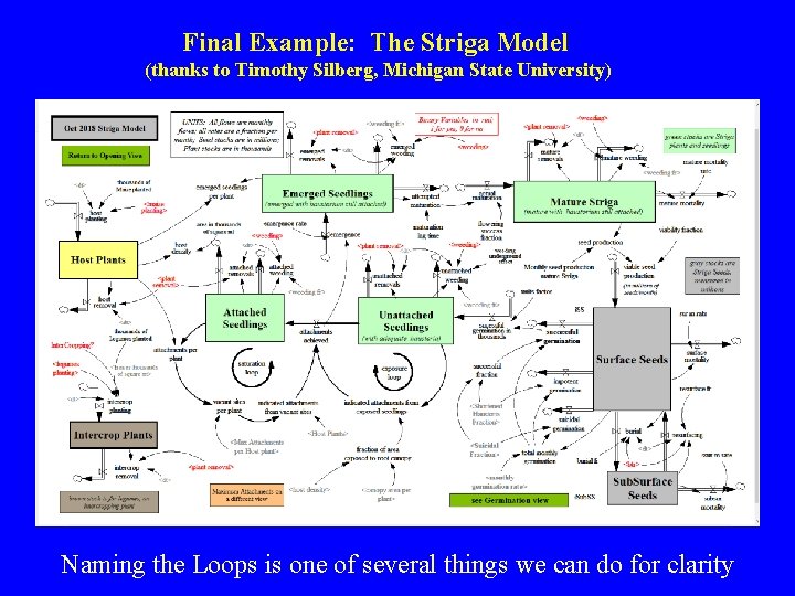 Final Example: The Striga Model (thanks to Timothy Silberg, Michigan State University) Naming the Final Example: The Striga Model (thanks to Timothy Silberg, Michigan State University) Naming the