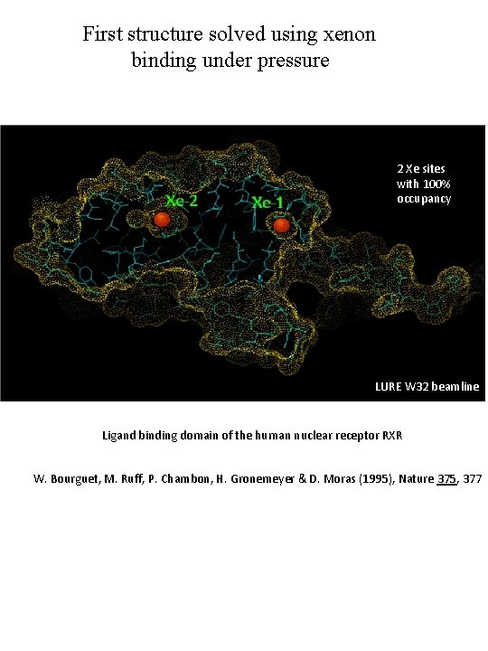 First structure solved using xenon binding under pressure 2 Xe sites with 100% occupancy