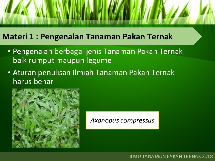 Materi 1 : Pengenalan Tanaman Pakan Ternak • Pengenalan berbagai jenis Tanaman Pakan Ternak