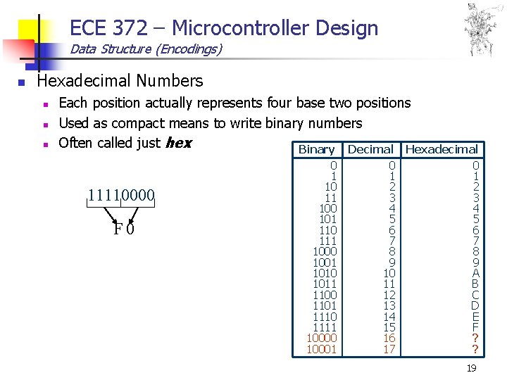 ECE 372 – Microcontroller Design Data Structure (Encodings) n Hexadecimal Numbers n n n