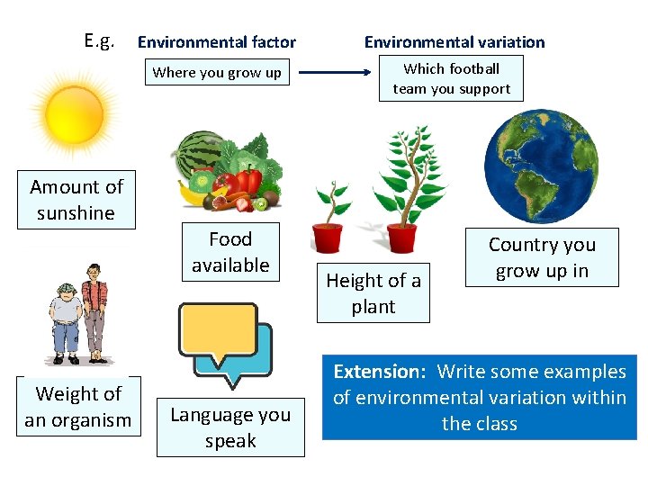 E. g. Amount of sunshine Weight of an organism Environmental factor Environmental variation Where
