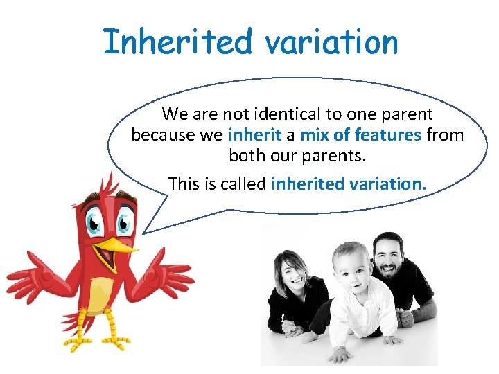 Inherited variation We are not identical to one parent because we inherit a mix