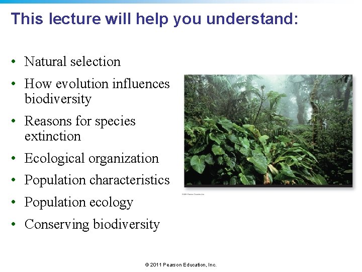 This lecture will help you understand: • Natural selection • How evolution influences biodiversity