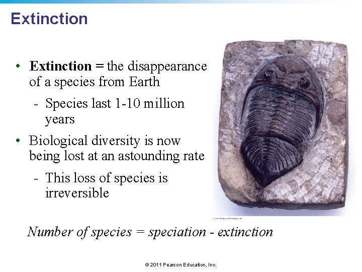 Extinction • Extinction = the disappearance of a species from Earth - Species last