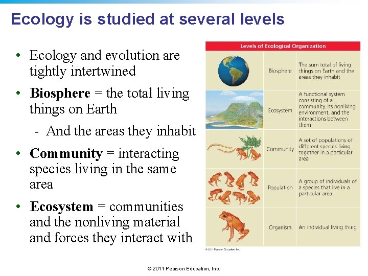 Ecology is studied at several levels • Ecology and evolution are tightly intertwined •