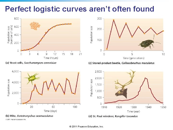 Perfect logistic curves aren’t often found © 2011 Pearson Education, Inc. 